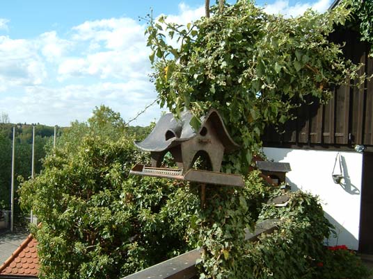 Kunstschmiede Vogelhaus